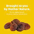 Flyberry Gourmet Dried Apricots | Unsulphured